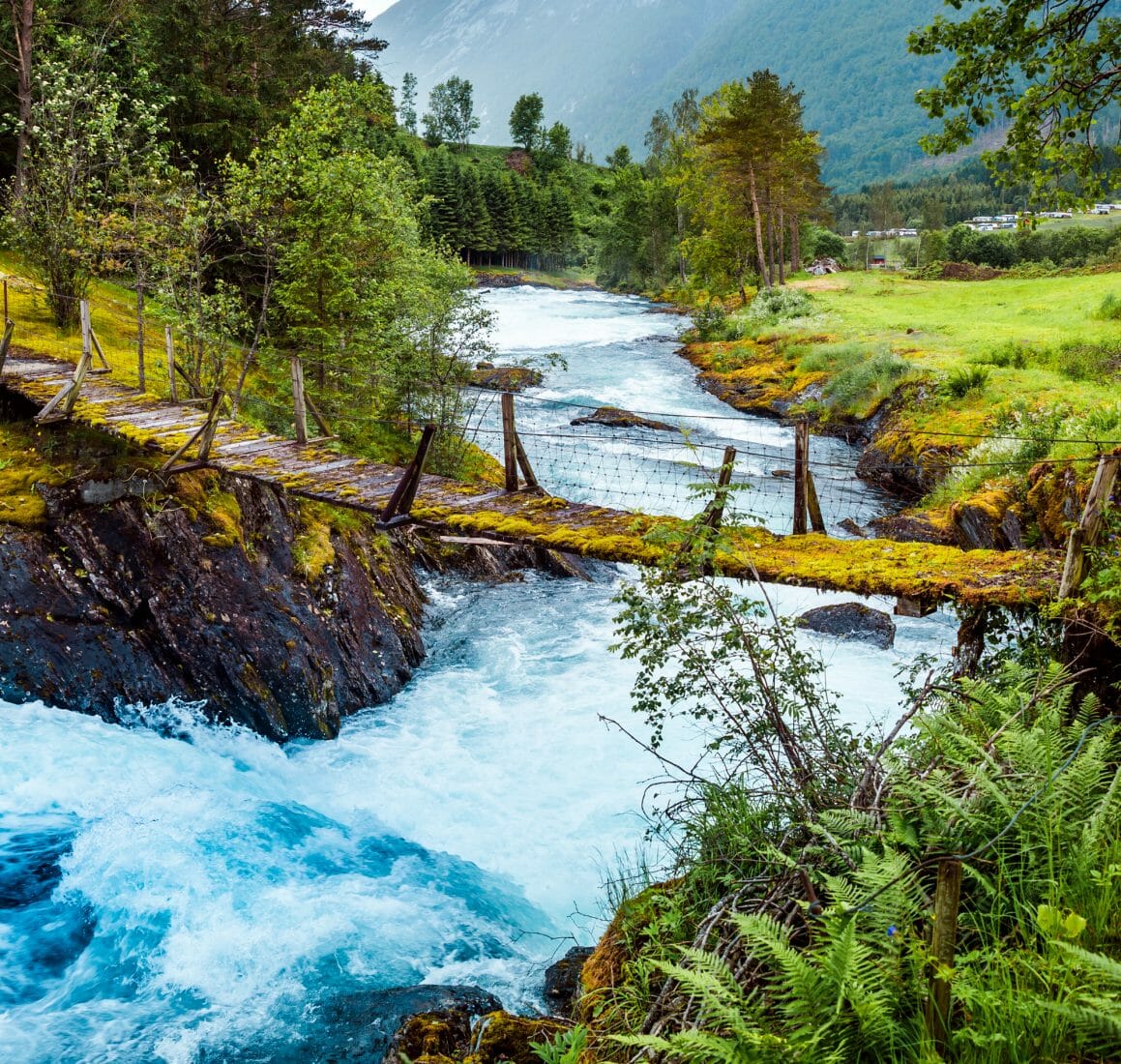 General Mental Health Counselors In Western Colorado